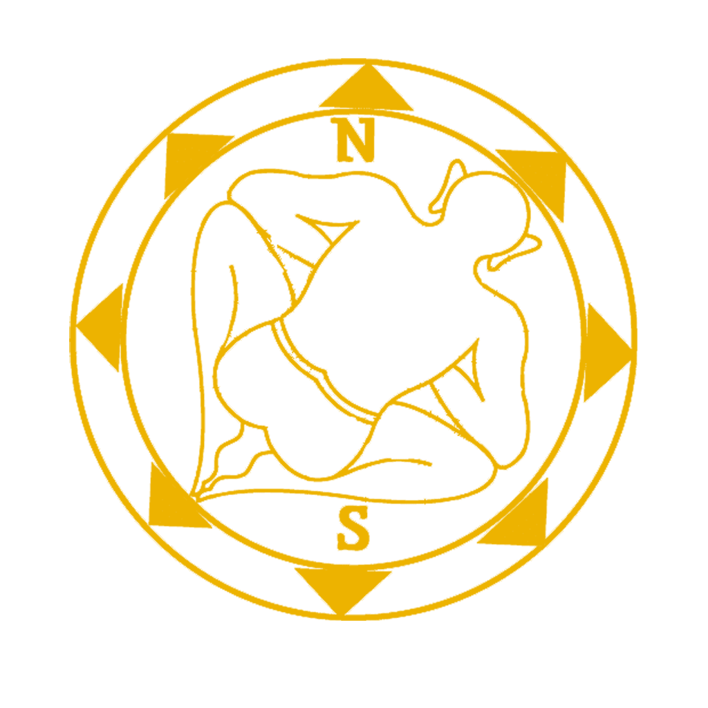 Tarot Icon